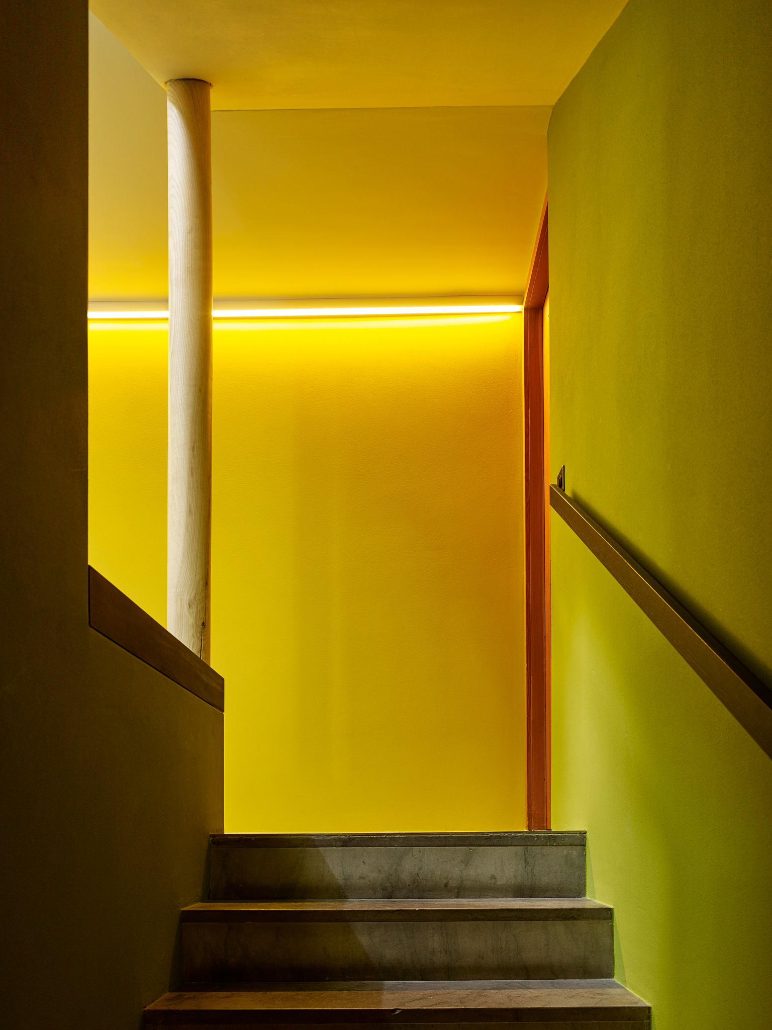 E15560 Alpa 052639 SCREEN